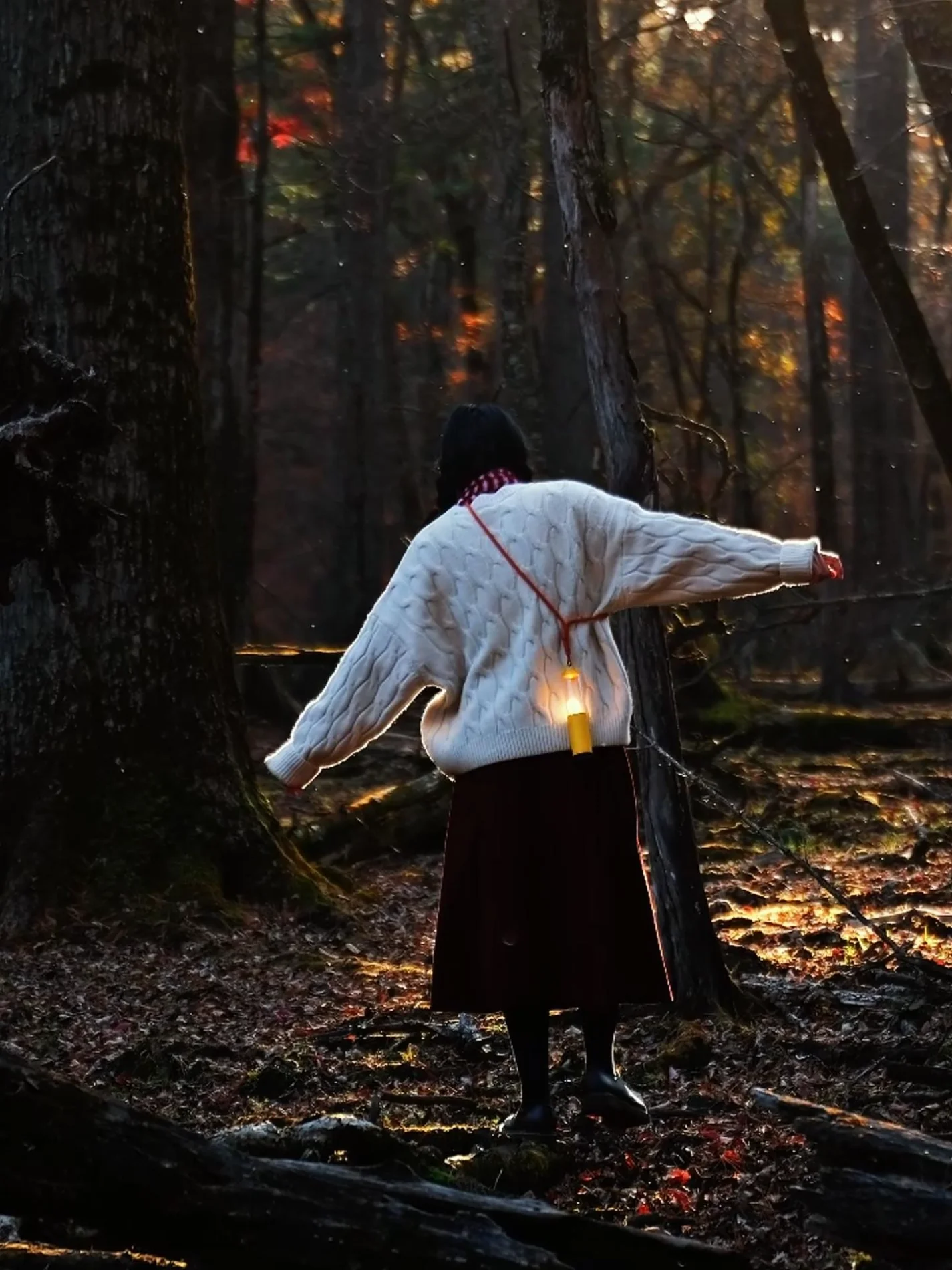 highlight camping light outdoor adventures