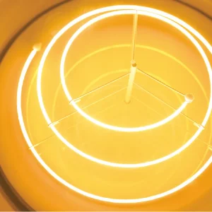 Fellas Bulb Ceiling Light- LED Filament Detail