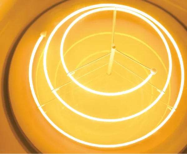 Fellas Bulb Ceiling Light- LED Filament Detail